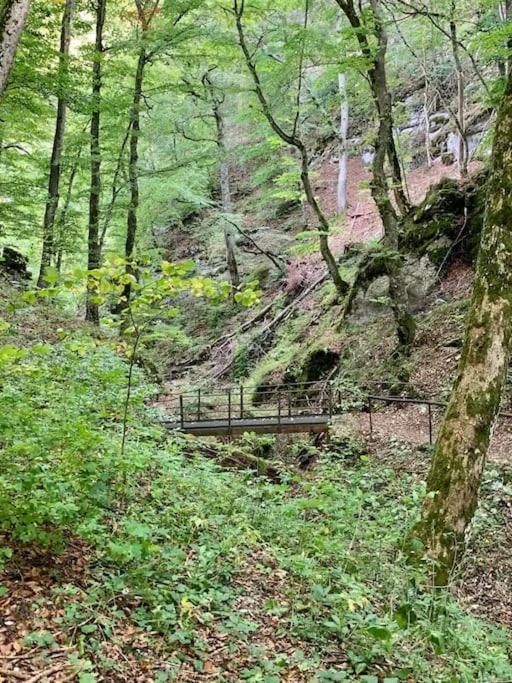 Ferienwohnung Albliebe Messstetten Buitenkant foto