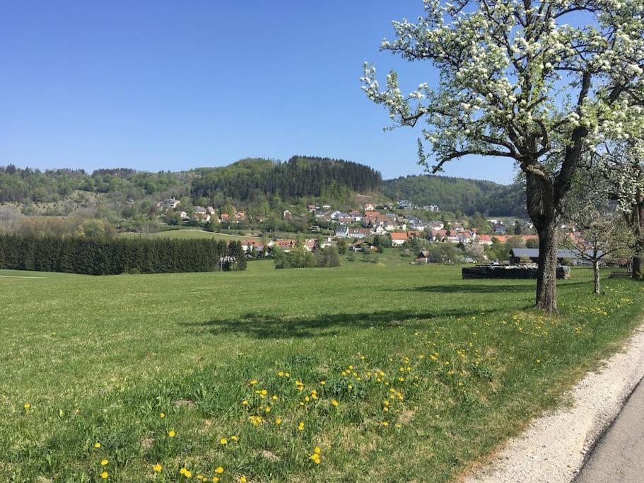 Ferienwohnung Albliebe Messstetten Buitenkant foto