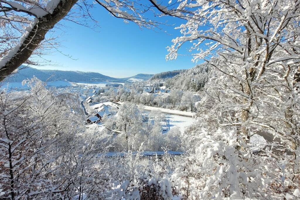 Ferienwohnung Albliebe Messstetten Buitenkant foto